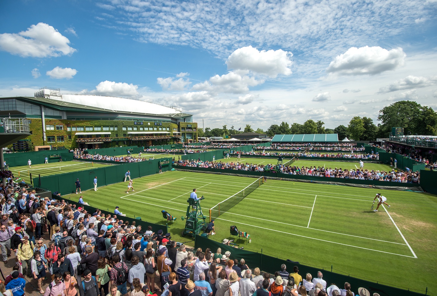 Strawberries and Cream Wimbledon