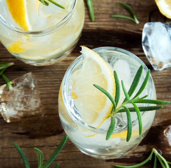 The History of the Gin and Tonic Four Eras of the G&T