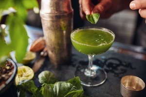 Hip Cocktail Ingredients | Greenery